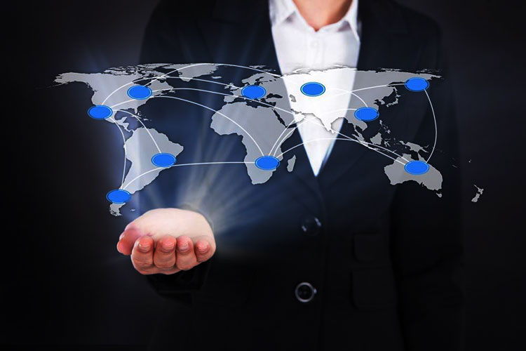 Freight Forwarding Website