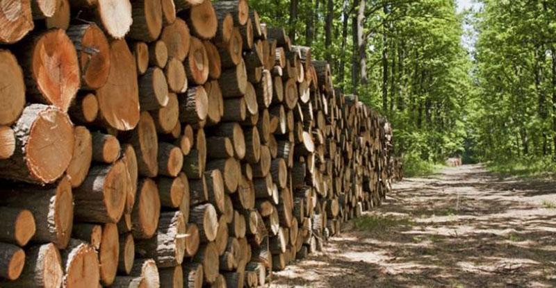 Illegal Logging Prohibition Act & Regulation