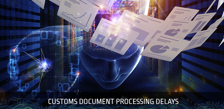 Customs Document Processing Delays