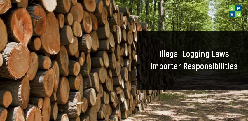 Importer Issued with the First Illegal Logging Infringement Notice