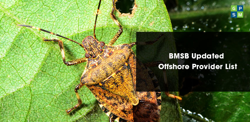 BMSB Updated Offshore Provider List